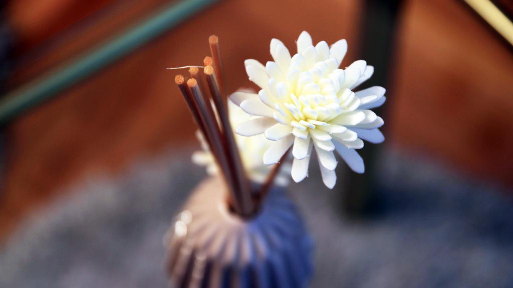 Linden Flower Apartment スボティツァ エクステリア 写真